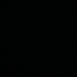 Meet your Posher, Allie